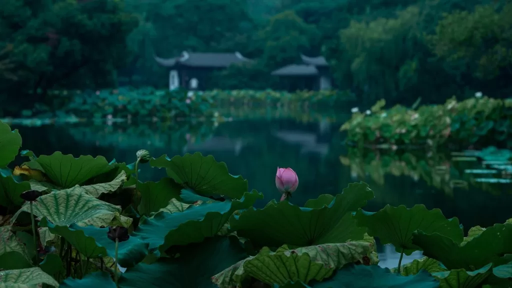 quyuan-fenghe-park-hangzhou-1024x576-3