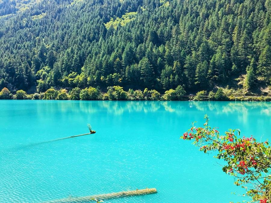 rhinoceros-lake-in-jiuzhai-valley rhinoceros-lake-in-jiuzhai-valley