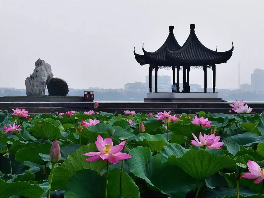 rich-biodiversity-in-yiyuan-garden-yixing-jpg rich-biodiversity-in-yiyuan-garden-yixing-jpg
