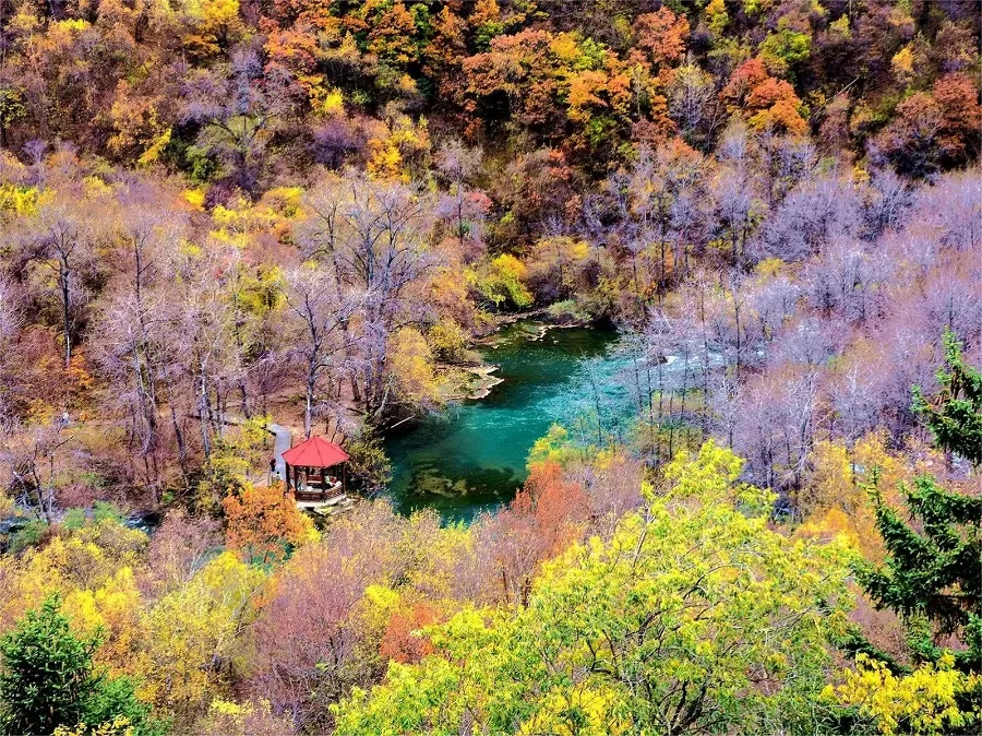 rich-flora-in-songpinggou-valley-jpg rich-flora-in-songpinggou-valley-jpg