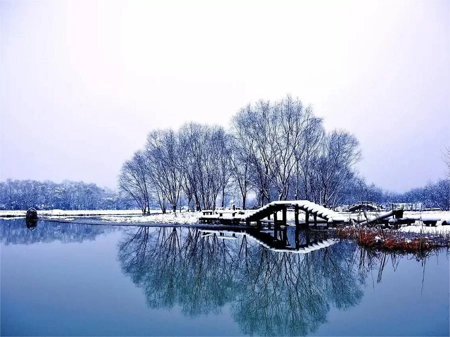 river-embankments-in-xixi-national-wetland-park-jpg river-embankments-in-xixi-national-wetland-park-jpg