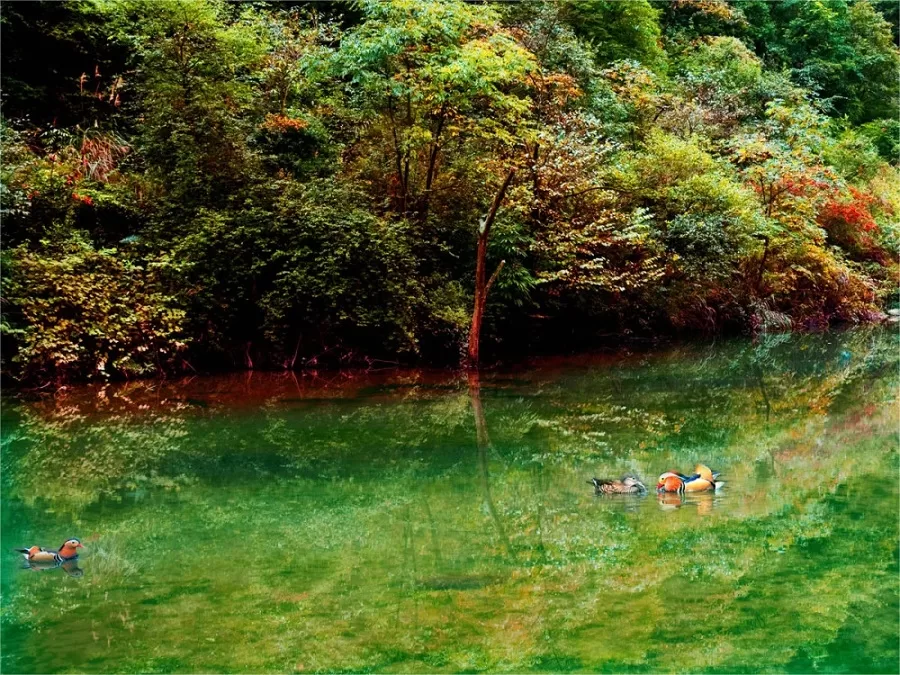 rivers-and-lakes-in-black-valley-chongqing-jpg rivers-and-lakes-in-black-valley-chongqing-jpg