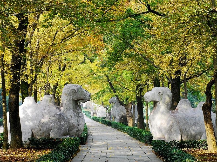 scared-way-in-ming-xiaoling-mausoleum scared-way-in-ming-xiaoling-mausoleum