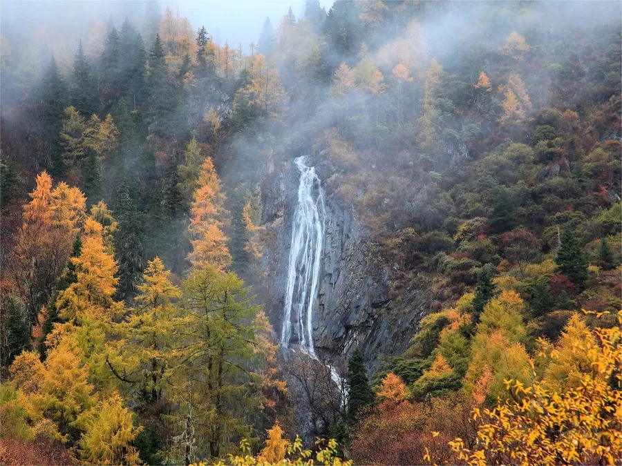 scenic-beauty-in-wolong-national-nature-reserve-jpg scenic-beauty-in-wolong-national-nature-reserve-jpg