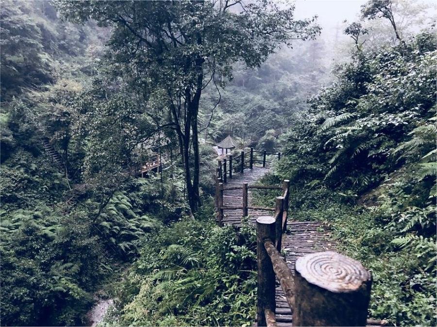 scenic-hiking-trails-of-mount-emei scenic-hiking-trails-of-mount-emei