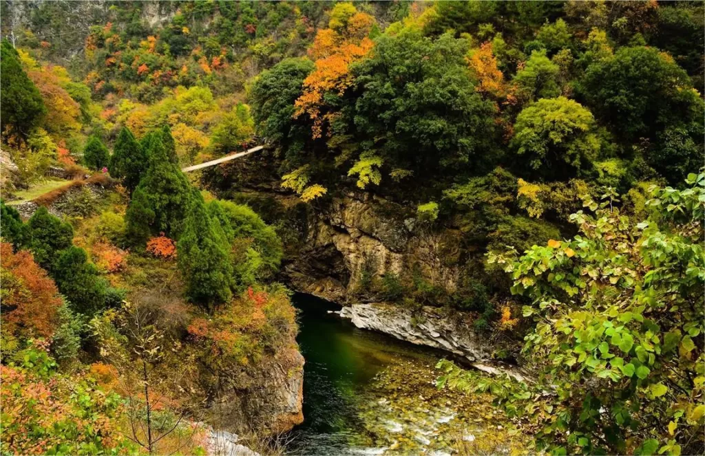scenic-landscapes-in-heihe-national-forest-park-1024x663-1 scenic-landscapes-in-heihe-national-forest-park-1024x663-1