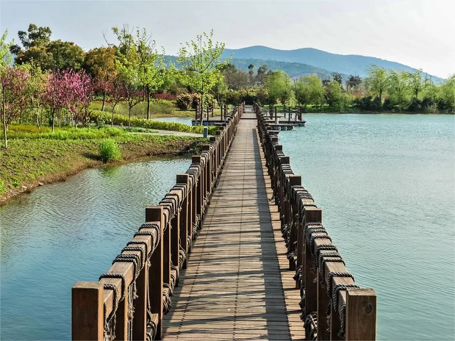 scenic-trails-in-taihu-wetland-park-jpg scenic-trails-in-taihu-wetland-park-jpg