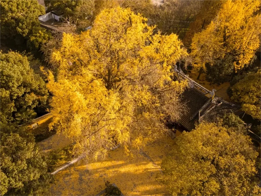 seasonal-beauty-in-shangfang-mountain-suzhou-jpg seasonal-beauty-in-shangfang-mountain-suzhou-jpg