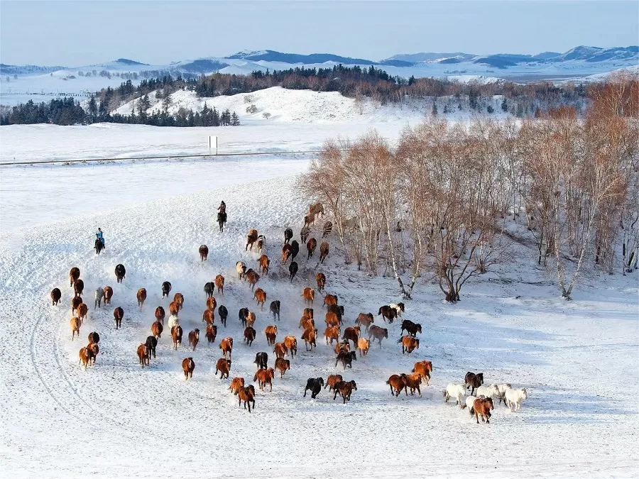 seasonal-beauty-of-bashang-grassland-jpg seasonal-beauty-of-bashang-grassland-jpg