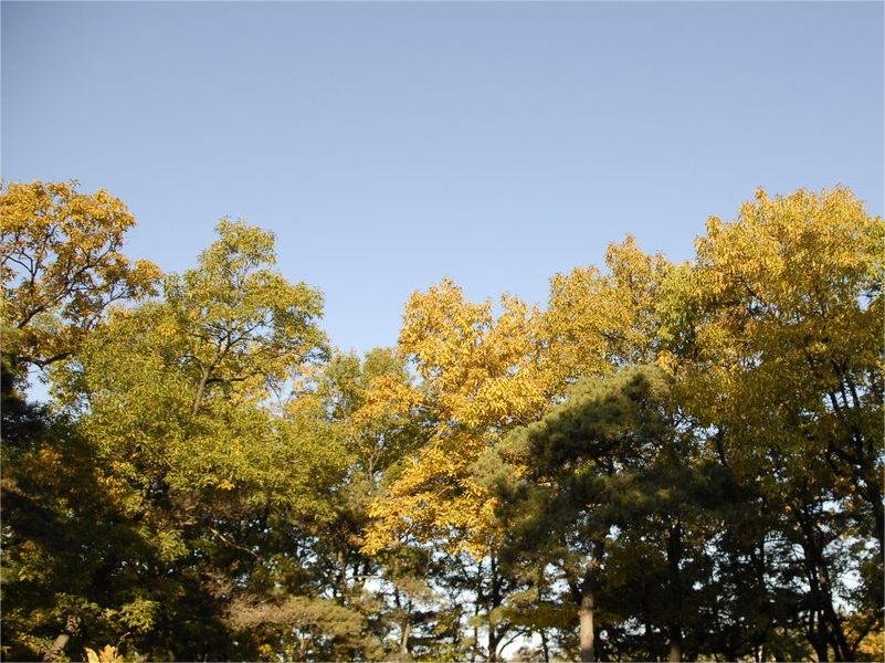 seasonal-beauty-of-lianfeng-mountain seasonal-beauty-of-lianfeng-mountain