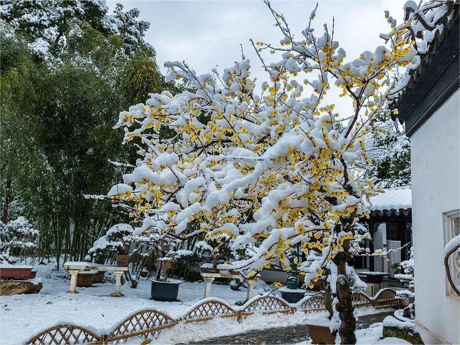seasonal-beauty-of-zhanyuan-garden seasonal-beauty-of-zhanyuan-garden