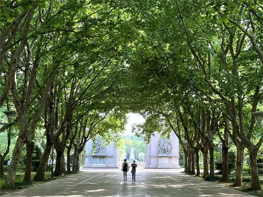 serene-environment-in-lihu-central-park-jpg serene-environment-in-lihu-central-park-jpg