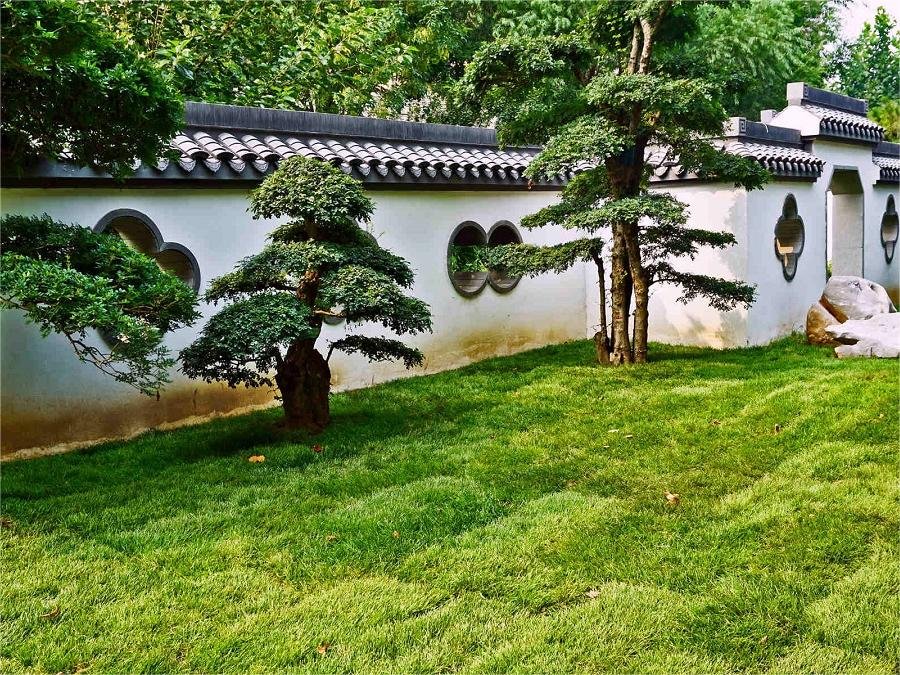 serene-garden-landscape-in-jingyuan-garden serene-garden-landscape-in-jingyuan-garden