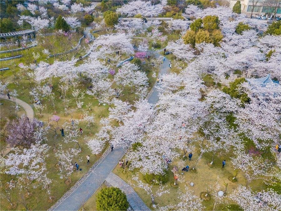 serene-gardens-in-ming-xiaoling-mausoleum serene-gardens-in-ming-xiaoling-mausoleum