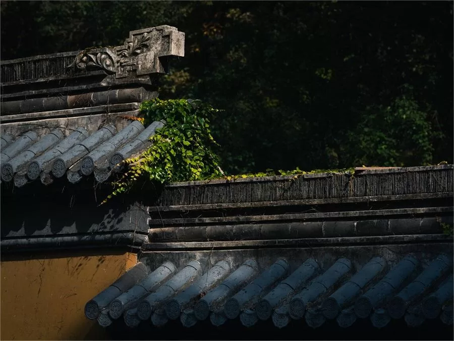 serene-temples-in-meihua-mountain-scenic-area-jpg serene-temples-in-meihua-mountain-scenic-area-jpg