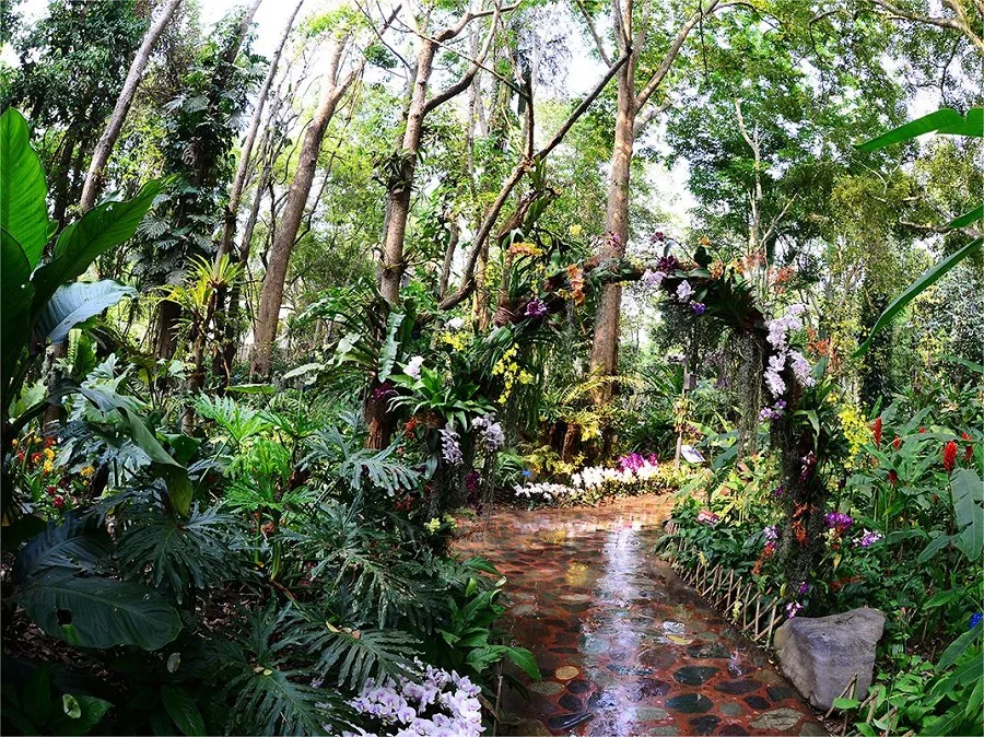 shade-plant-garden-in-Xishuangbannan-Tropical-Botanical-Garden-jpg shade-plant-garden-in-Xishuangbannan-Tropical-Botanical-Garden-jpg
