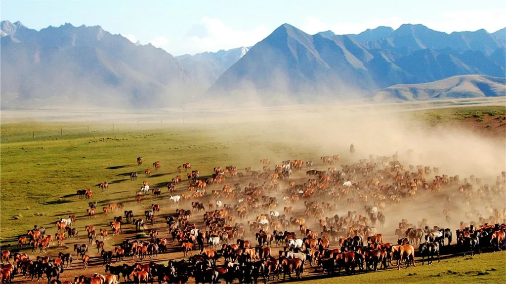 shandan-military-horse-farm-1024x576-1 shandan-military-horse-farm-1024x576-1