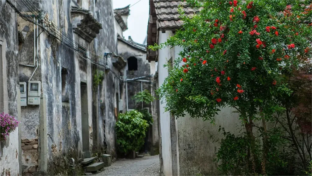 shenao-village-tonglu-1024x576-3 shenao-village-tonglu-1024x576-3