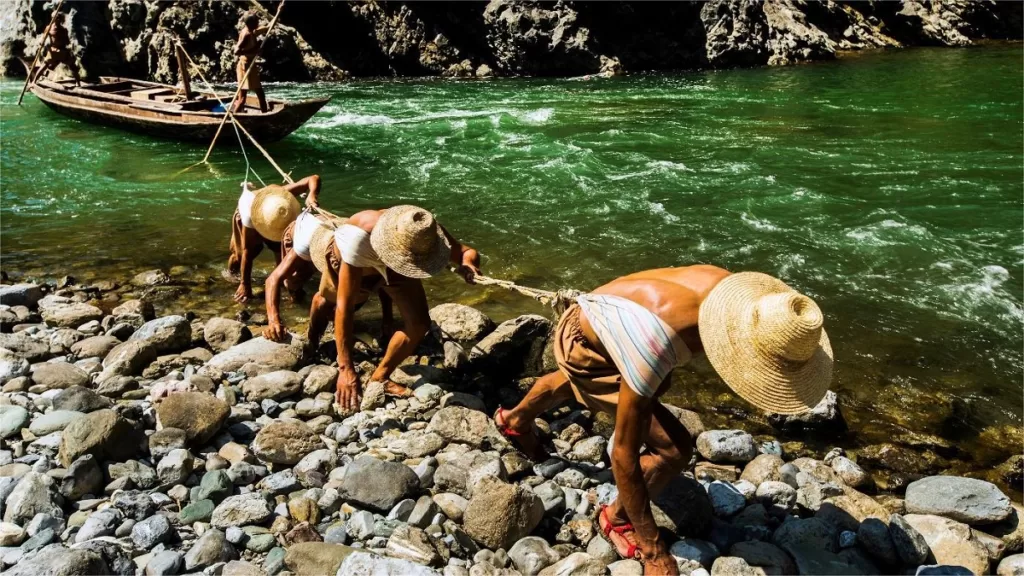 shennong-stream-1024x576-5 shennong-stream-1024x576-5