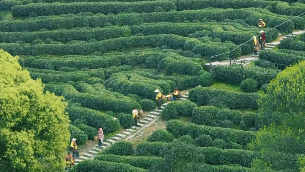 shili-langdang-hiking-trail-1024x576-3