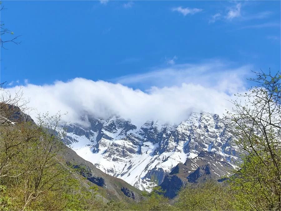 snow-capped-mountains-in-huanglong-scenic-and-historic-area-jpg snow-capped-mountains-in-huanglong-scenic-and-historic-area-jpg