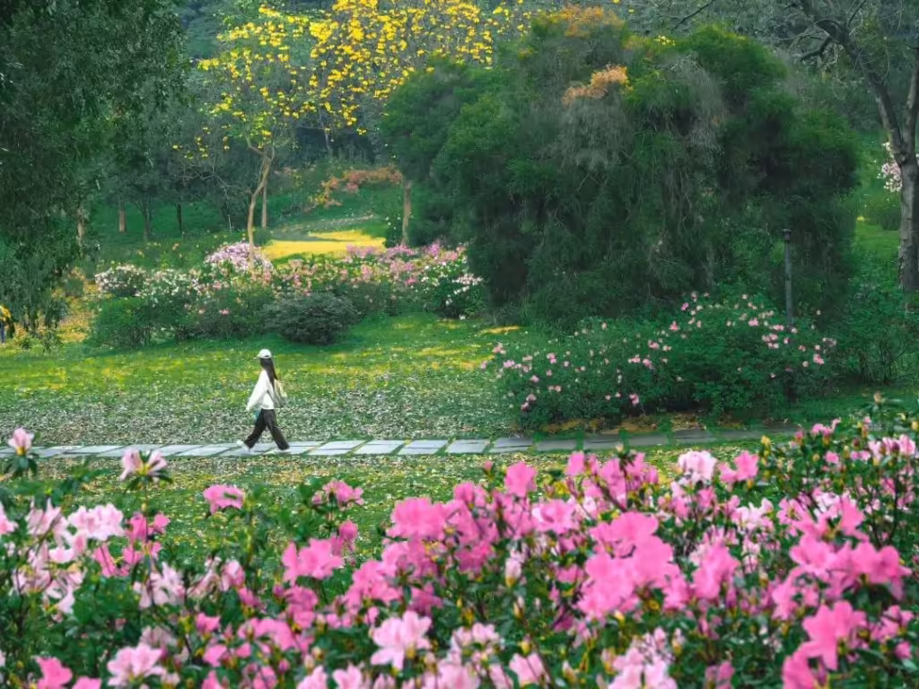 south-china-botanical-garden-3-1024x768.avif_ south-china-botanical-garden-3-1024x768.avif_