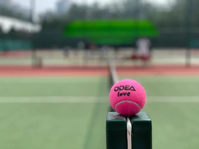 sports-facilities-in-chaoyang-park sports-facilities-in-chaoyang-park