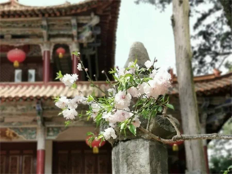 taihua-temple-in-xishan-forest-park-kunming-jpg taihua-temple-in-xishan-forest-park-kunming-jpg