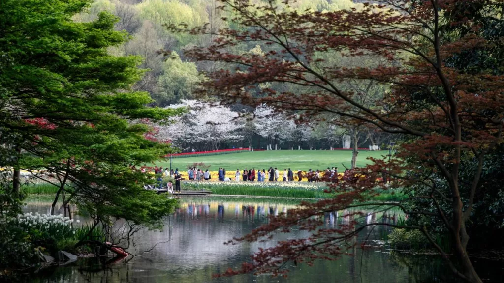 taiziwan-park-1024x576-10 taiziwan-park-1024x576-10