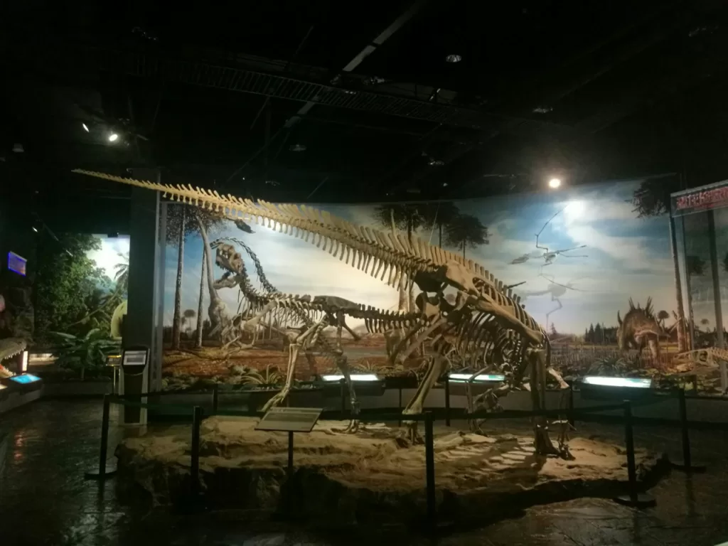 the-era-of-dinosaurs-in-shiyan-museum-1024x768-1 the-era-of-dinosaurs-in-shiyan-museum-1024x768-1