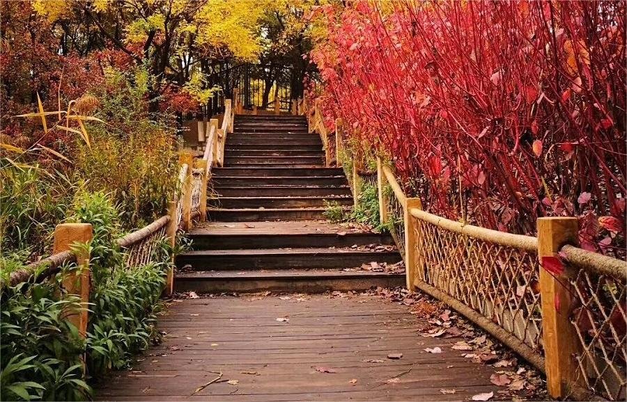 the-olympic-forest-park-in-Beijing the-olympic-forest-park-in-Beijing