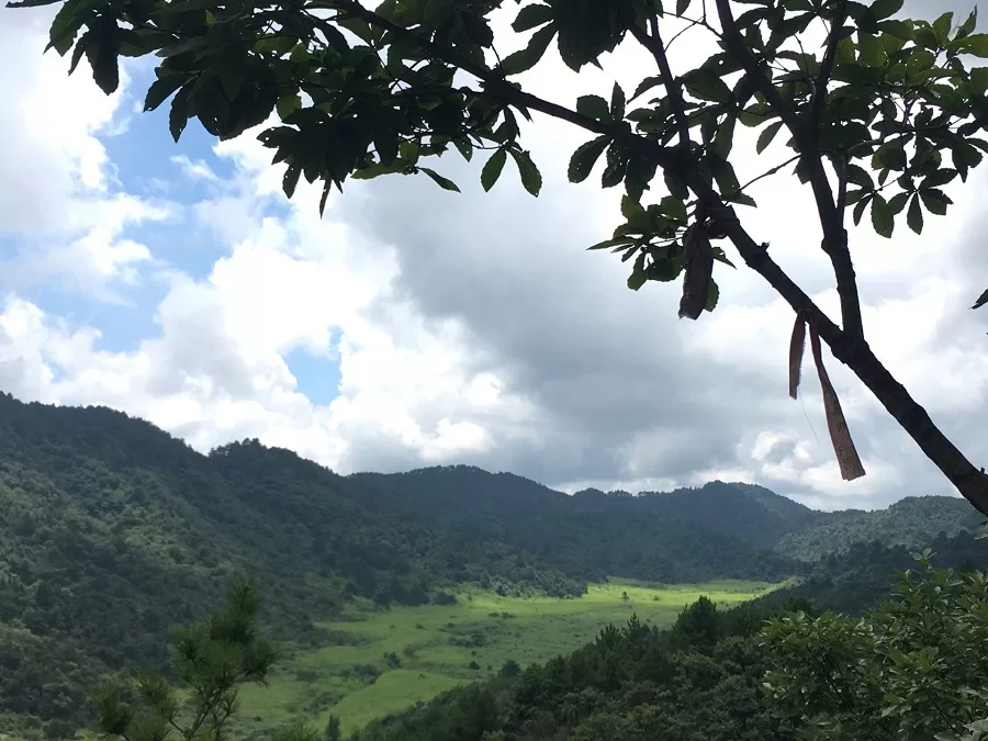 thousand-mu-field-in-linan-daming-mountain-jpg thousand-mu-field-in-linan-daming-mountain-jpg