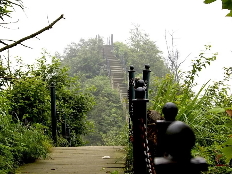 tianzi-palace-ruins-in-tea-mountain-bamboo-sea-jpeg tianzi-palace-ruins-in-tea-mountain-bamboo-sea-jpeg