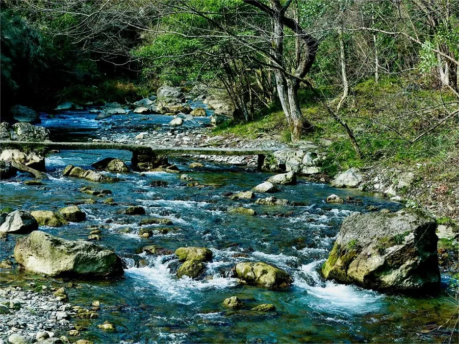 tiexi-stream-in-wuyang-river-jpg tiexi-stream-in-wuyang-river-jpg