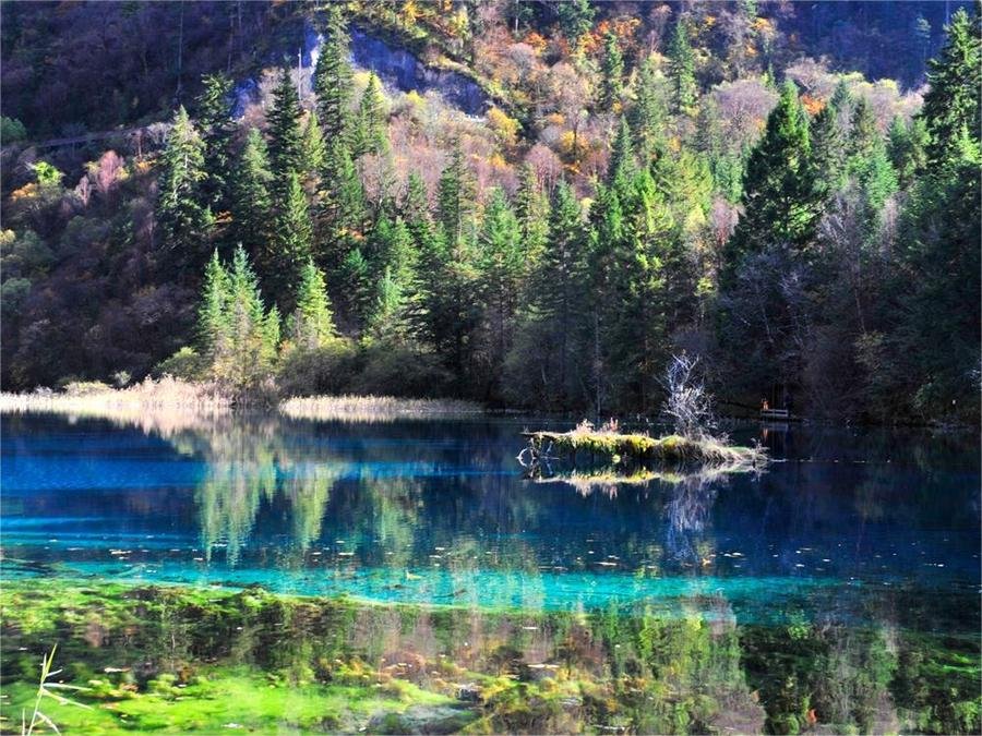 tiger-lake-in-jiuzhai-valley tiger-lake-in-jiuzhai-valley