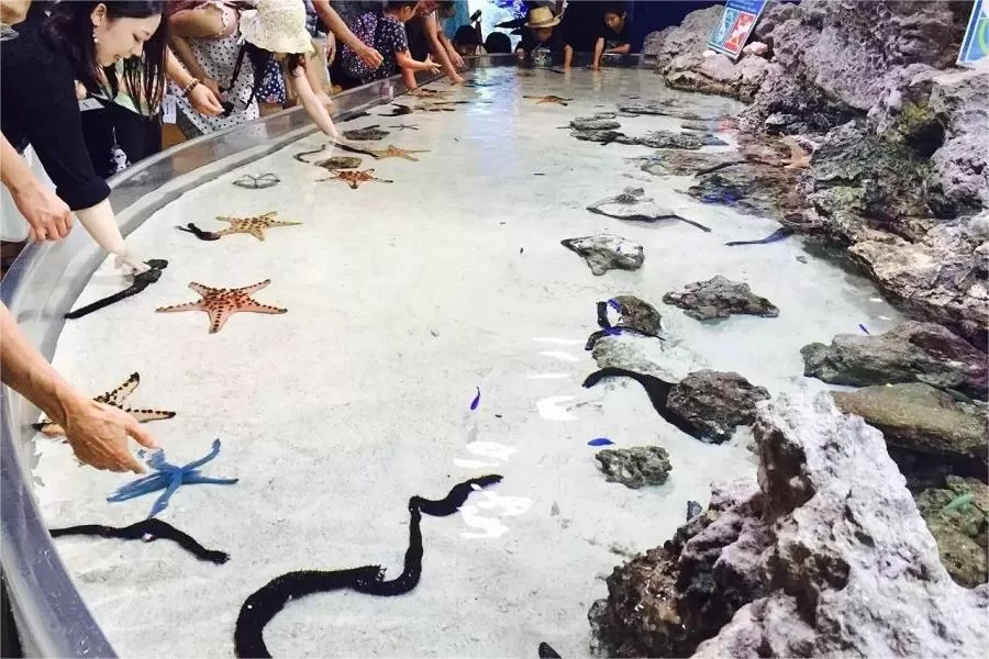 touch-pool-in-beijing-aquarium-jpeg touch-pool-in-beijing-aquarium-jpeg