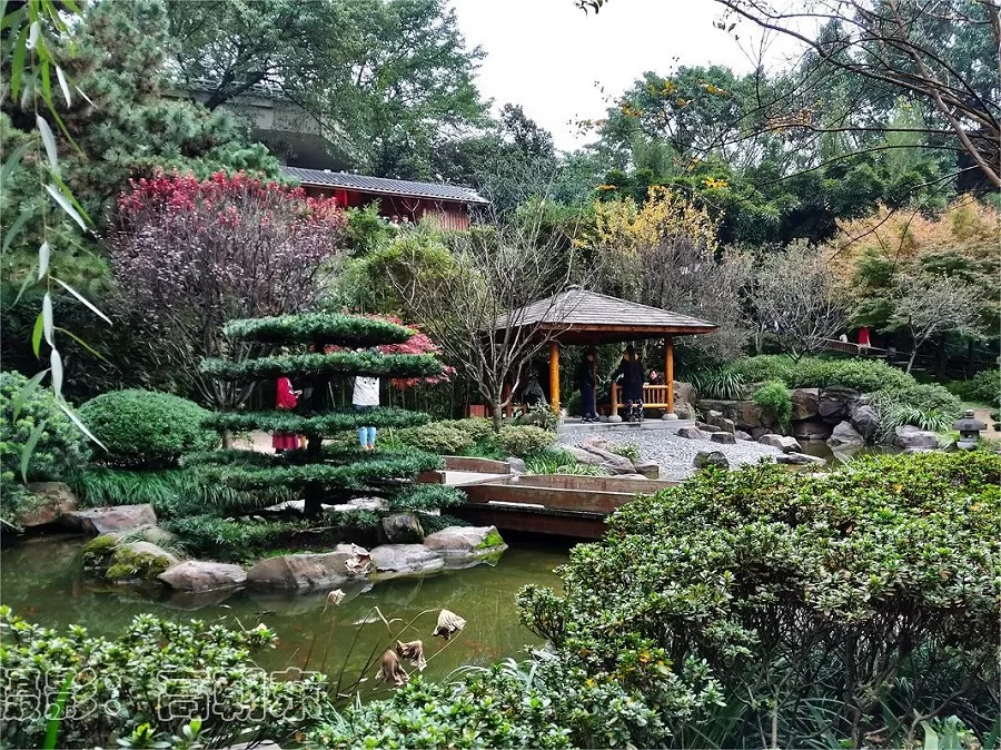 tranquil-garden-in-eling-park-jpeg tranquil-garden-in-eling-park-jpeg