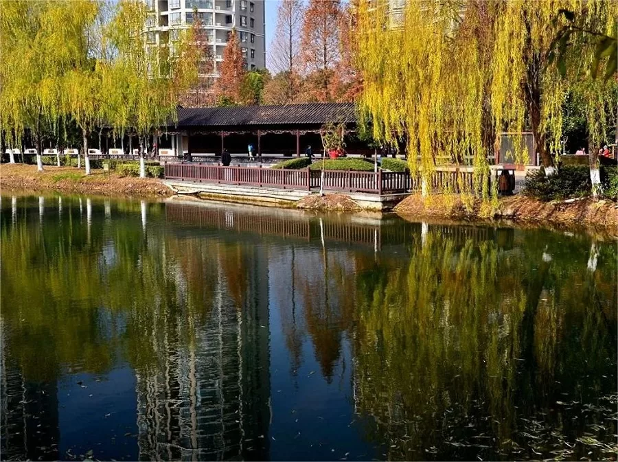 tranquil-gardens-in-zheng-he-treasure-ship-park-jpg tranquil-gardens-in-zheng-he-treasure-ship-park-jpg