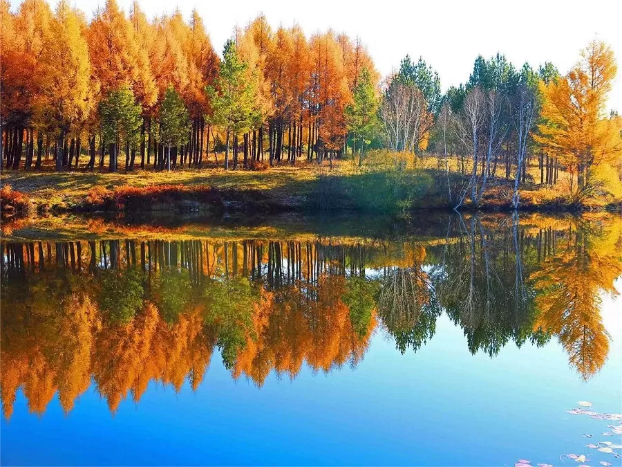 tranquil-lakes-in-saihanba-national-forest-park-jpeg tranquil-lakes-in-saihanba-national-forest-park-jpeg