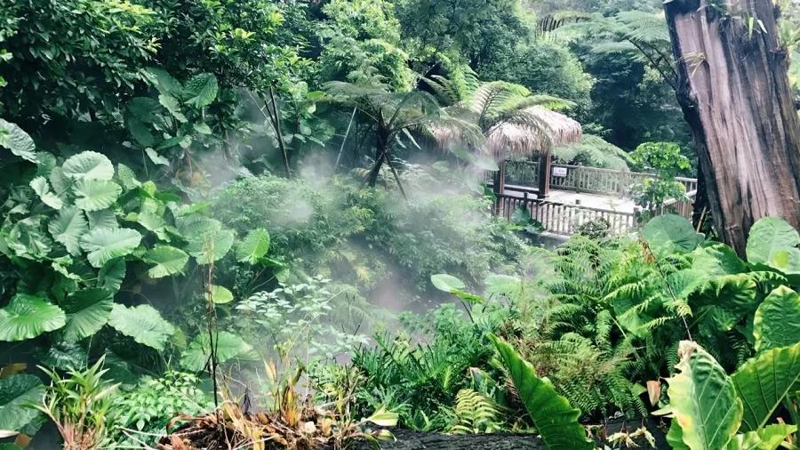 tropical-conservatory-in-beijing-botanical-garden-jpeg tropical-conservatory-in-beijing-botanical-garden-jpeg