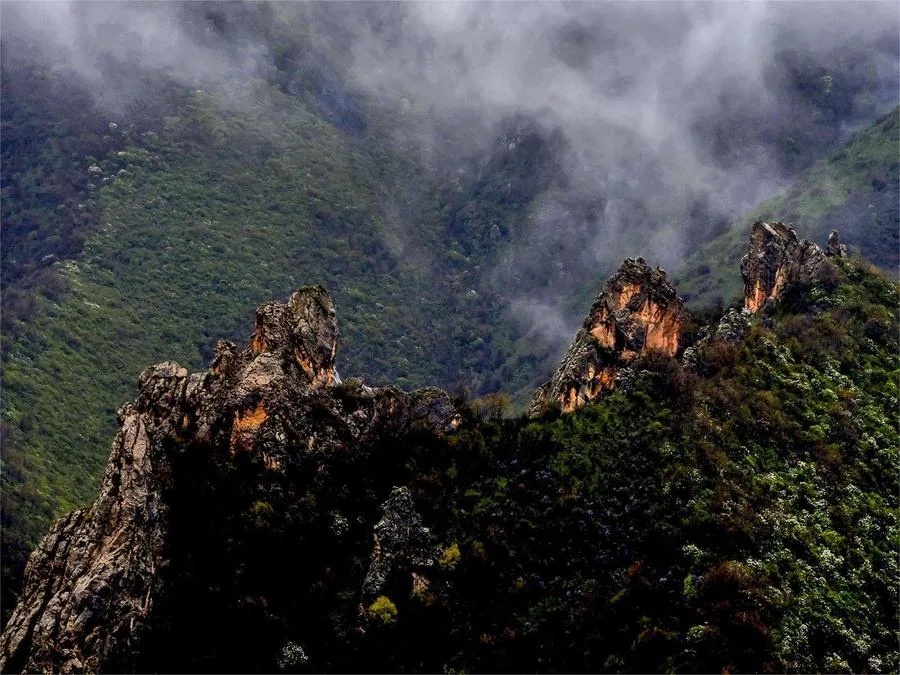 tulugou-national-forest-park-1-jpg tulugou-national-forest-park-1-jpg