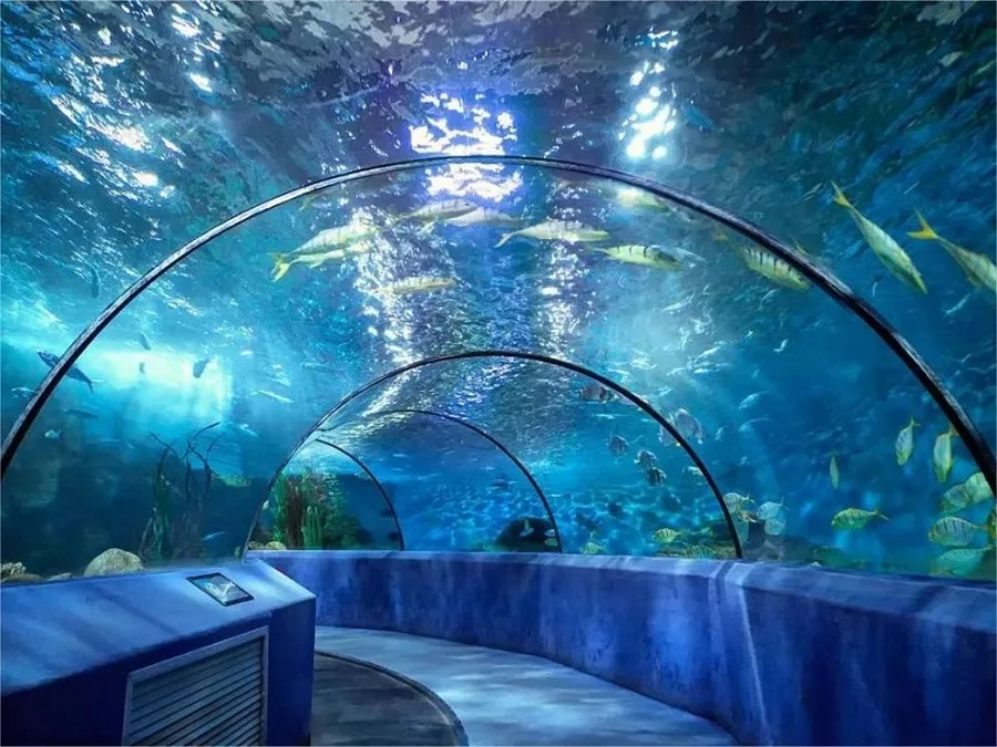tunnel-in-qingdao-polar-ocean-world-jpeg tunnel-in-qingdao-polar-ocean-world-jpeg
