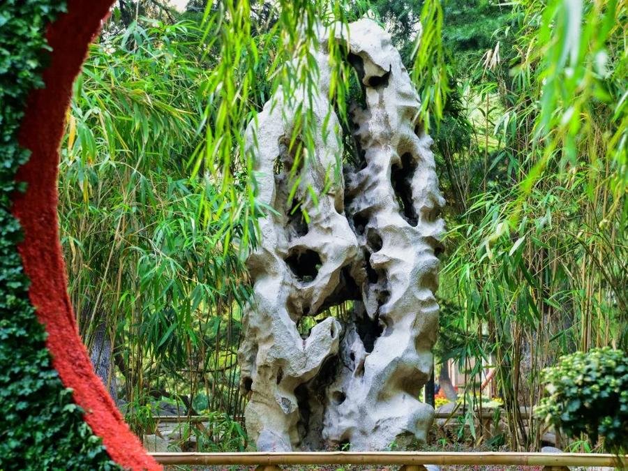 turtle-stone-in-baotu-spring turtle-stone-in-baotu-spring