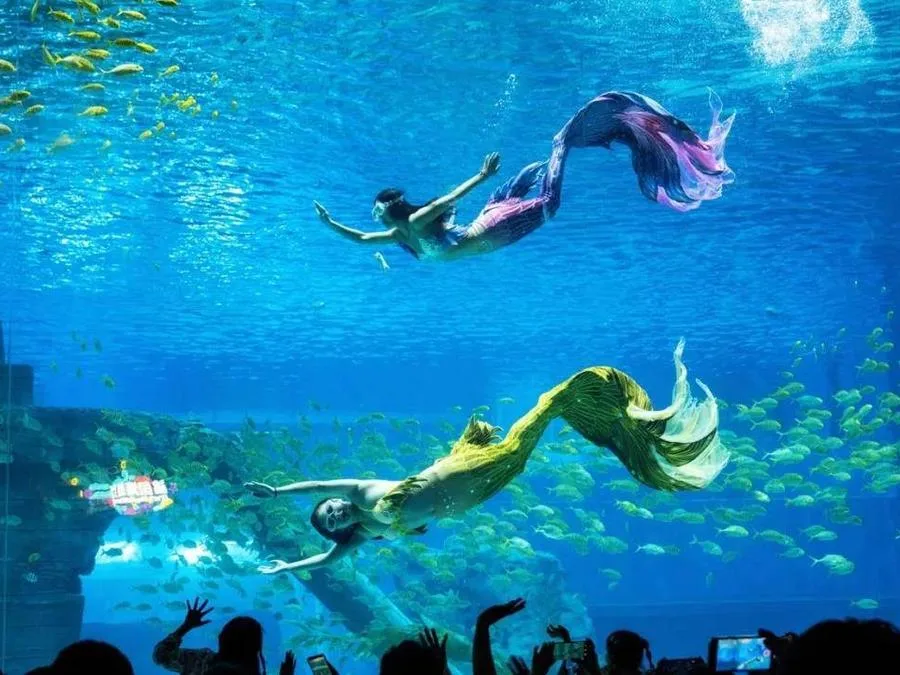 underwater-tunnel-in-Daming-Lake-Underwater-World-jpg underwater-tunnel-in-Daming-Lake-Underwater-World-jpg