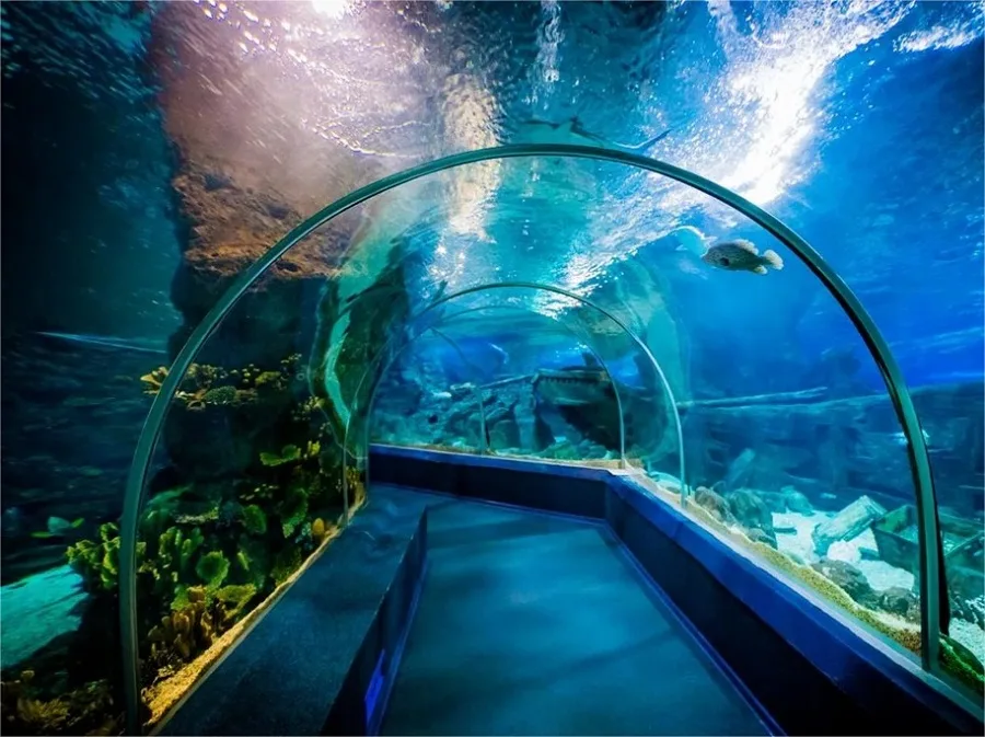 underwater-tunnel-in-qingdao-underwater-world-jpg underwater-tunnel-in-qingdao-underwater-world-jpg
