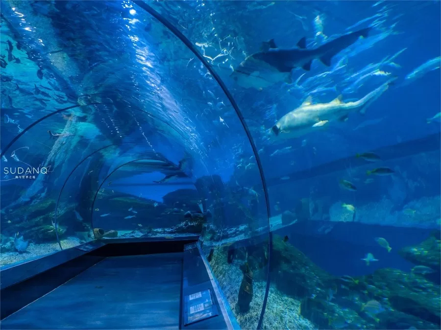 underwater-tunnel-in-tianjin-haichang-polar-ocean-world-jpg underwater-tunnel-in-tianjin-haichang-polar-ocean-world-jpg