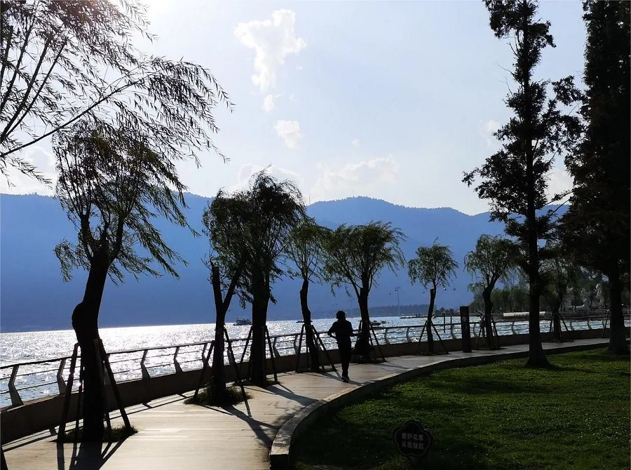variety-of-trees-in-haigeng-park-jpg variety-of-trees-in-haigeng-park-jpg