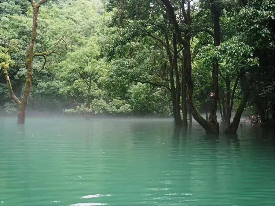 water-forest-in-xiaoqikong-scenic-area-jpg water-forest-in-xiaoqikong-scenic-area-jpg