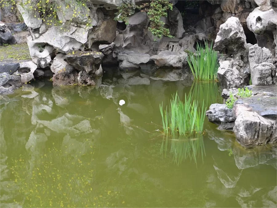water-moon-in-heyuan-garden-jpg water-moon-in-heyuan-garden-jpg