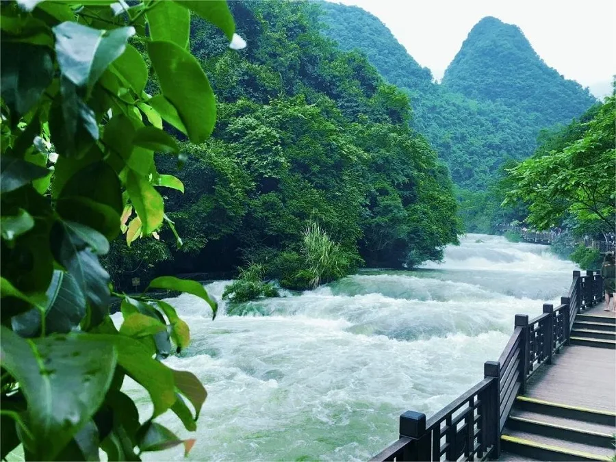 wild-boar-forest-in-xiaoqikong-scenic-area-jpg wild-boar-forest-in-xiaoqikong-scenic-area-jpg